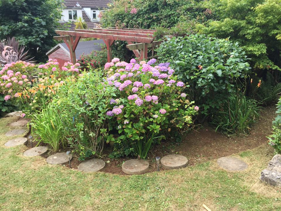 Pruning, Worle Steping stones