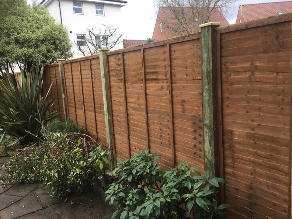 Larch Lap 6ft Heavy Duty Panels, Portishead